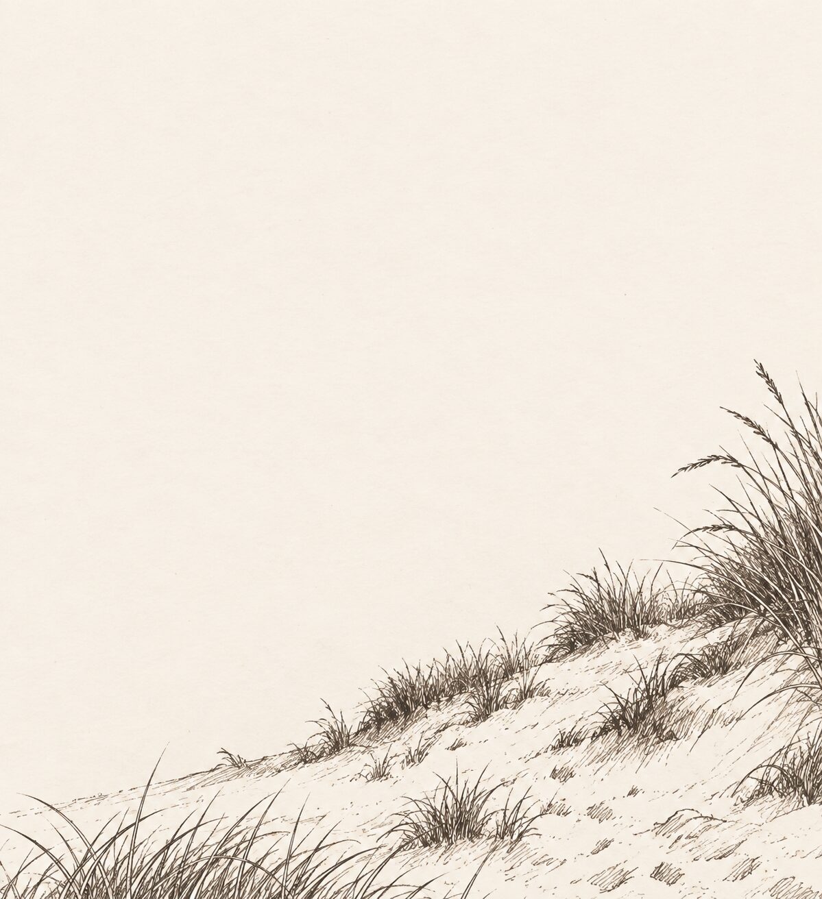 Hand-drawn shoreline illustration