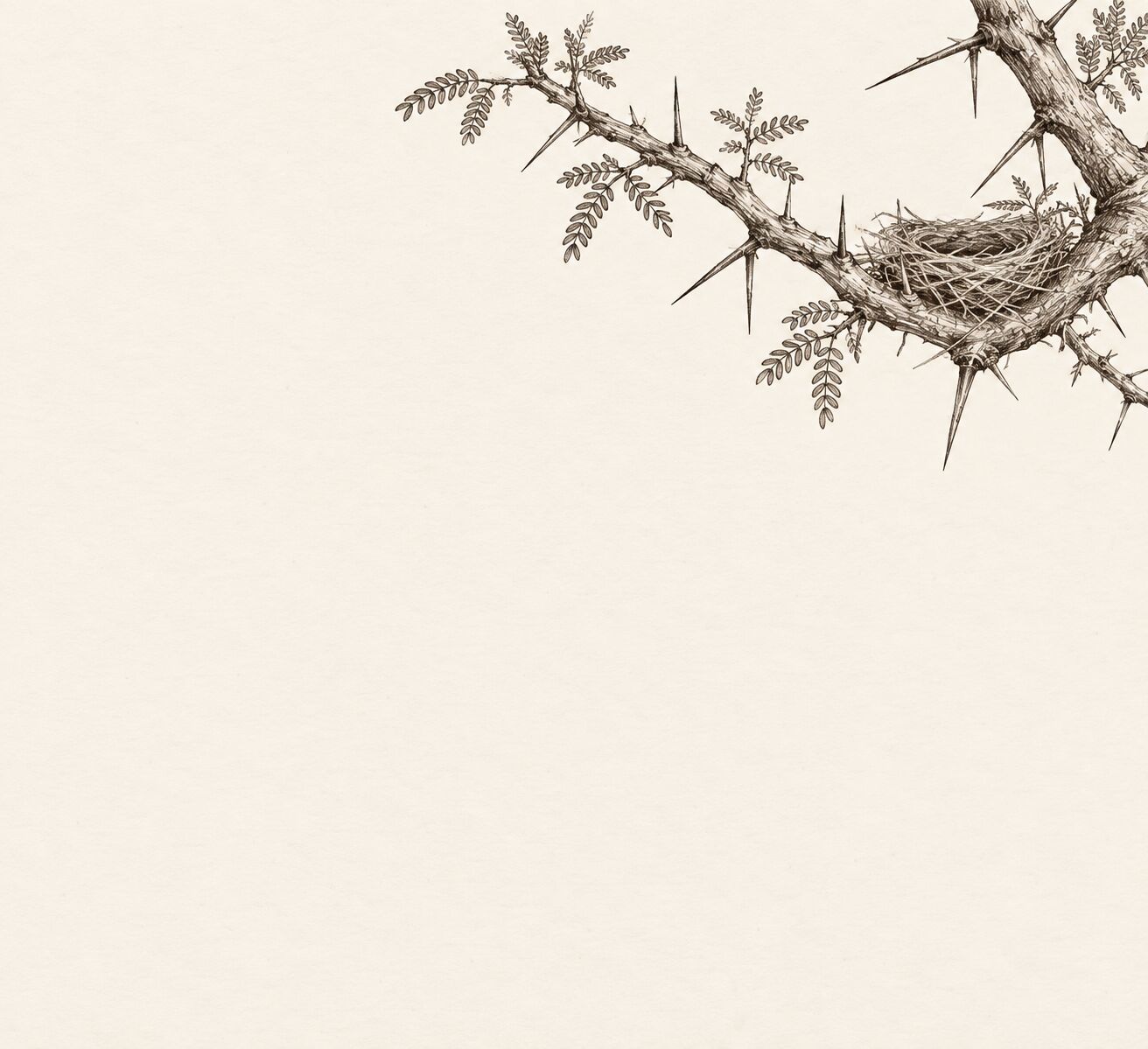 Hand-drawn thorn tree illustration