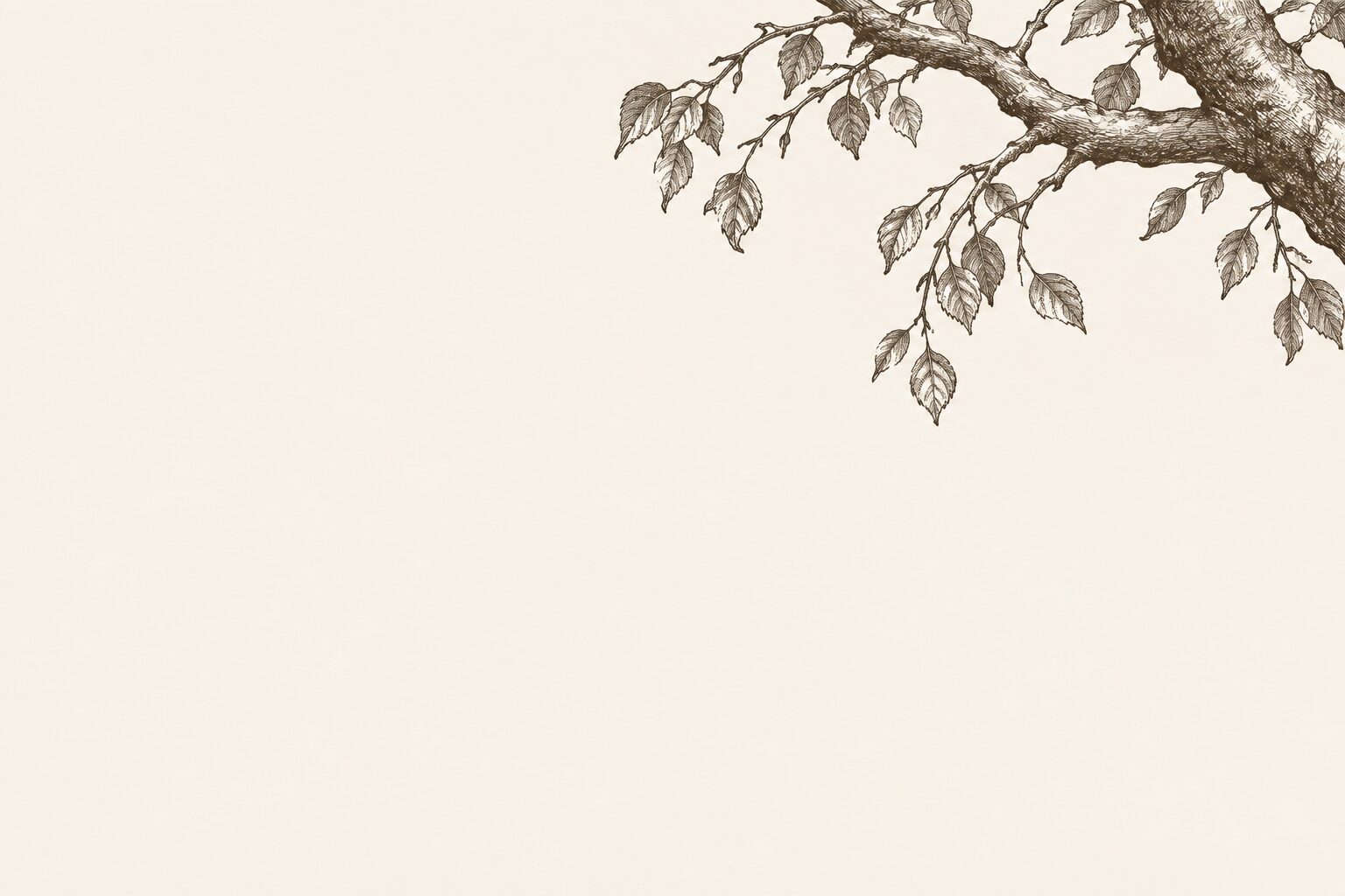 Hand-drawn tree illustration
